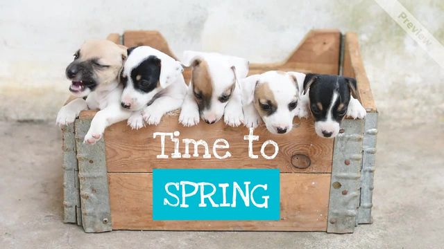 New Adventures Video Template