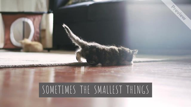 SMALLEST THINGS Video Template