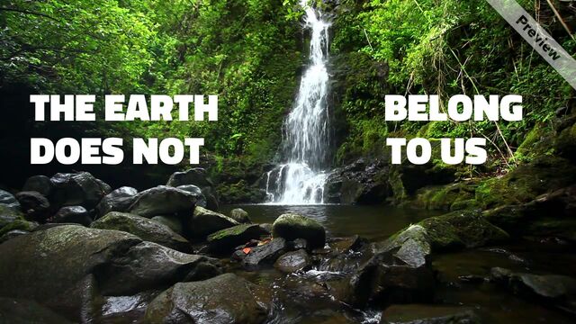 Environment Day Video Template