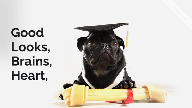 got it all Video Template