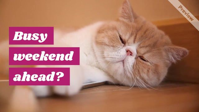 Weekend Plans Video Template