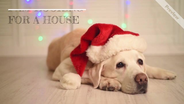 Christmas Dog Video Template
