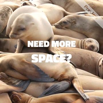 More Space Video Template