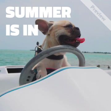 Summer Vacation Video Template