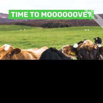 MOVING TIME Video Template