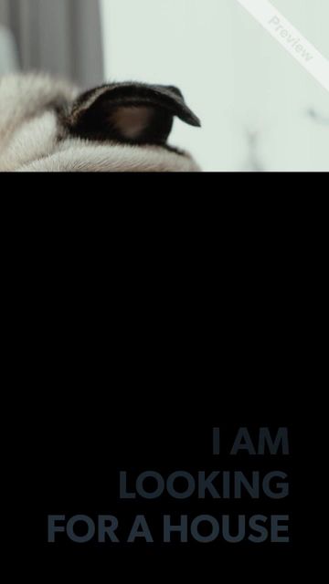 Backyard Video Template