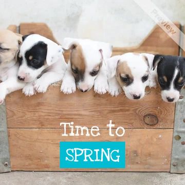 New Adventures Video Template