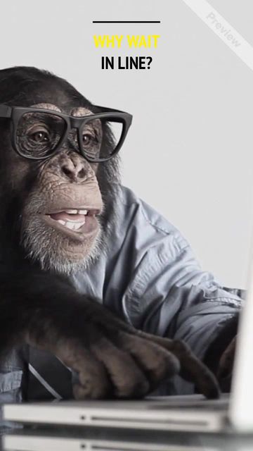 Shopping Monkey #2 Video Template