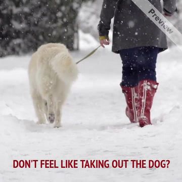 WALK THE DOG Video Template