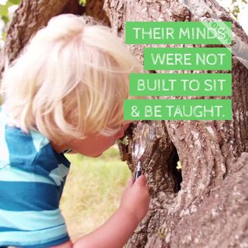 NATURE Video Template