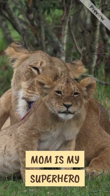 Hero Mom Video Template