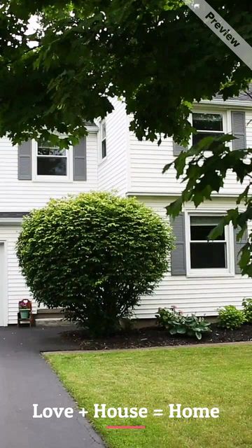 Love & House #2 Video Template