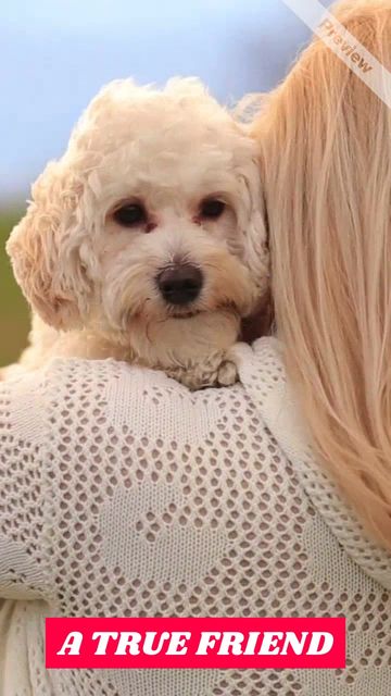 TRUE FRIEND #2 Video Template