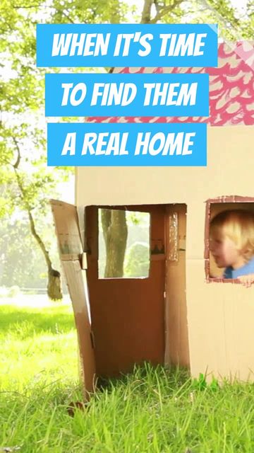 Real Home Video Template