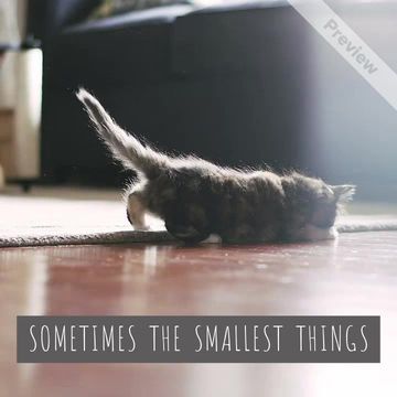 SMALLEST THINGS Video Template