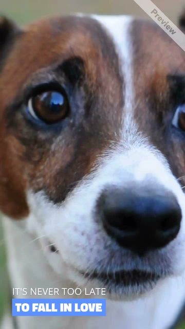 SAVE LIVES #2 Video Template