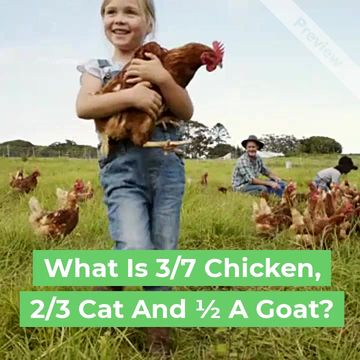 Brain teaser Video Template