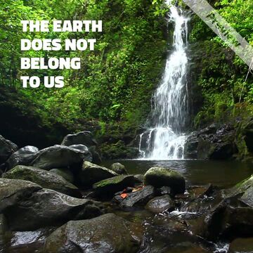 Environment Day Video Template