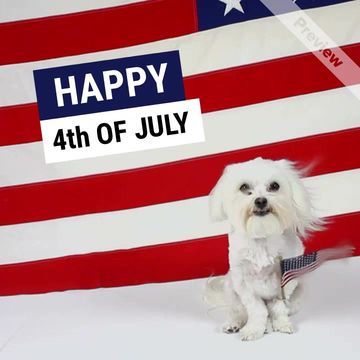 PROUD DOG Video Template