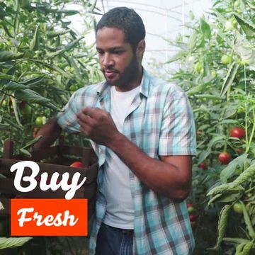 FARM FRESH Video Template