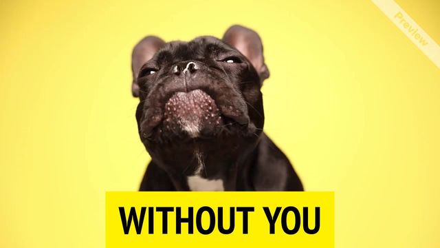 Adopt Me #2 Video Template