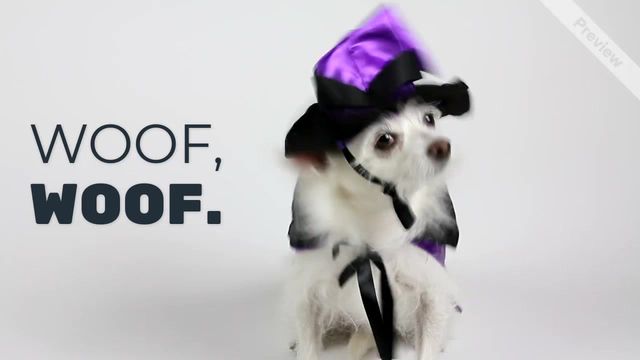 I'M A WIZARD Video Template