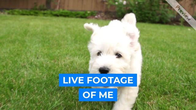 Pick Me up Video Template