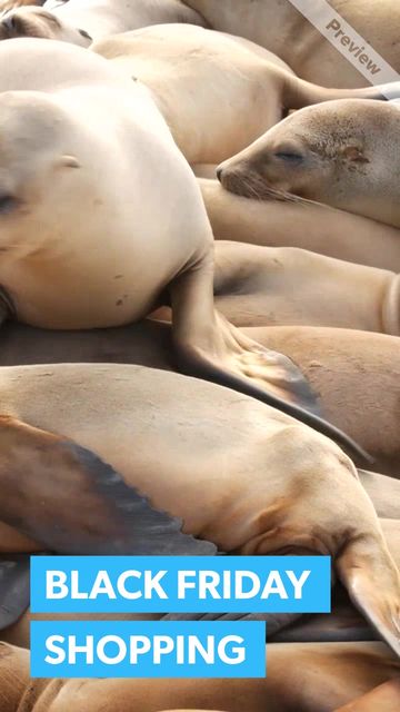 Cyber Monday - Calm Shopping Video Template