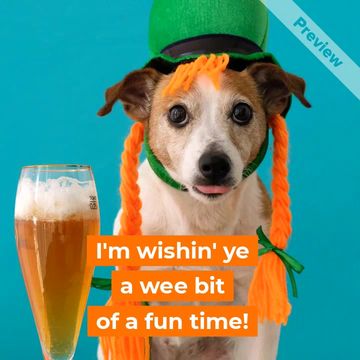 saint paddy's Video Template