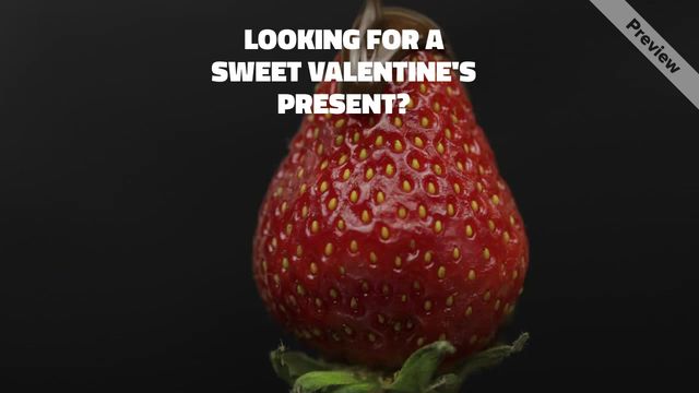 Sweet Baby Video Template