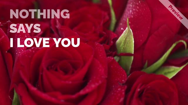I Love You Video Template