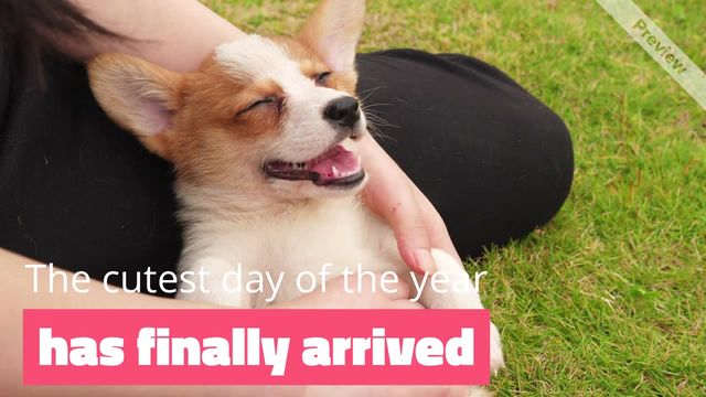 National Puppy Day Video Template