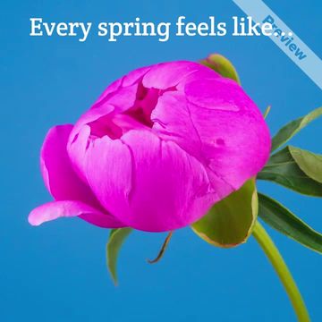 The Only Spring Video Template