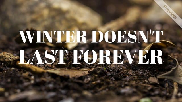 Winter Forever Video Template