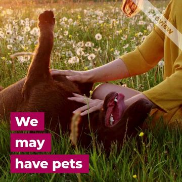 Pets Day Video Template