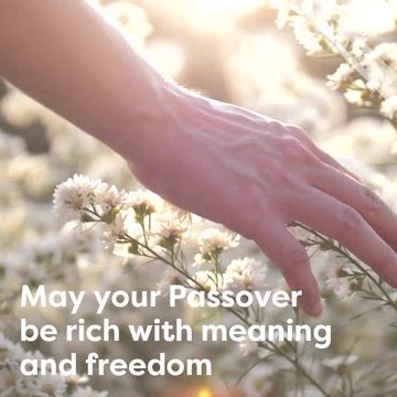 Passover Video Template