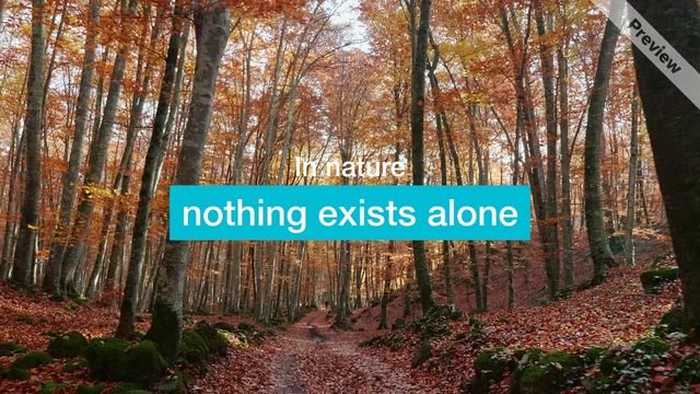 Earth Day Video Template