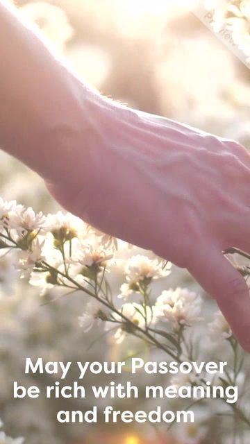 Passover Video Template