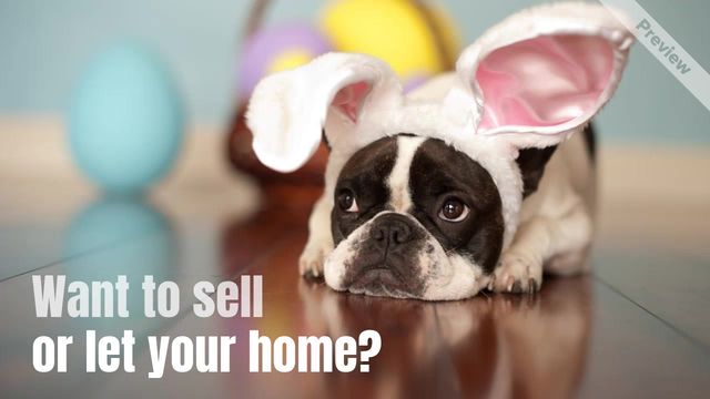 WE'RE ALL EARS Video Template