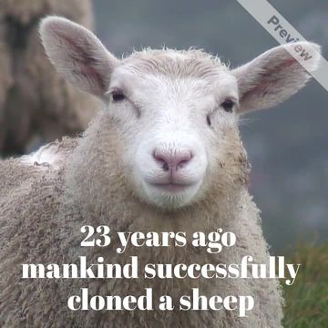 #FlashBackFriday: 1st Cloned Animal