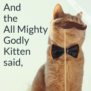 #Caturday Video Template