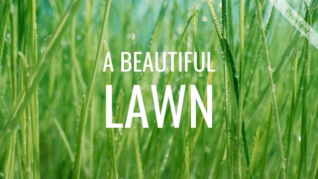 Mow the lawn Video Template