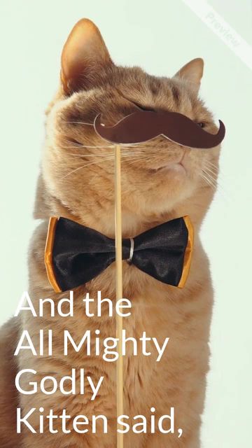 #Caturday Video Template