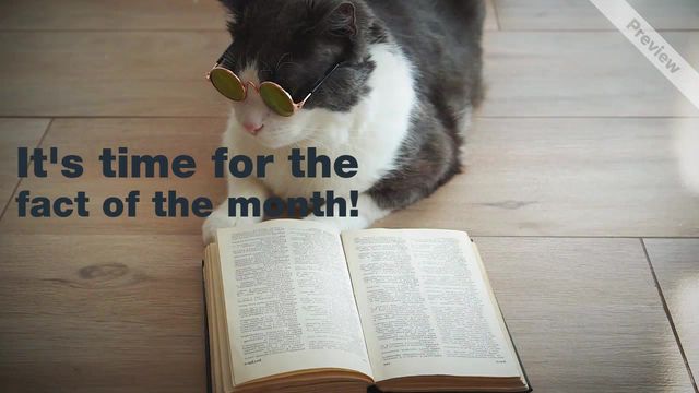 #FactFriday Video Template