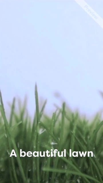 Beautiful Lawn Video Template