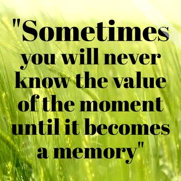 Quote of the Day Video Template