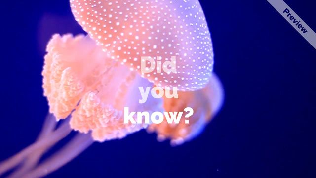 #ScienceSunday Video Template