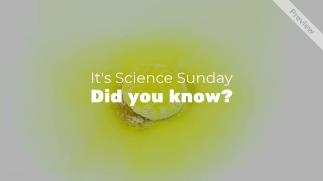 Science Sunday Video Template