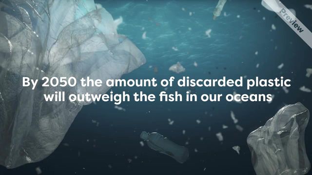 Marine Life Video Template