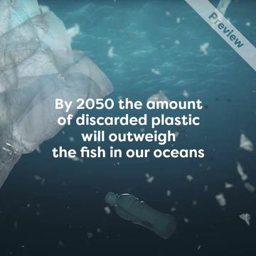 Marine Life Video Template